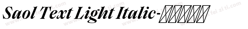Saol Text Light Italic字体转换